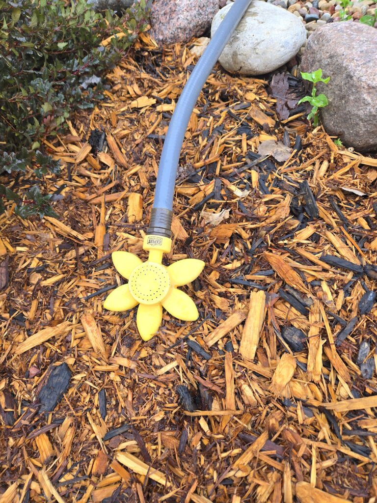 Small yellow sprinkler