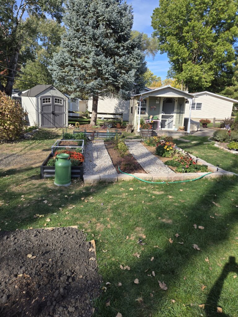 Overview of the garden with finished walkways